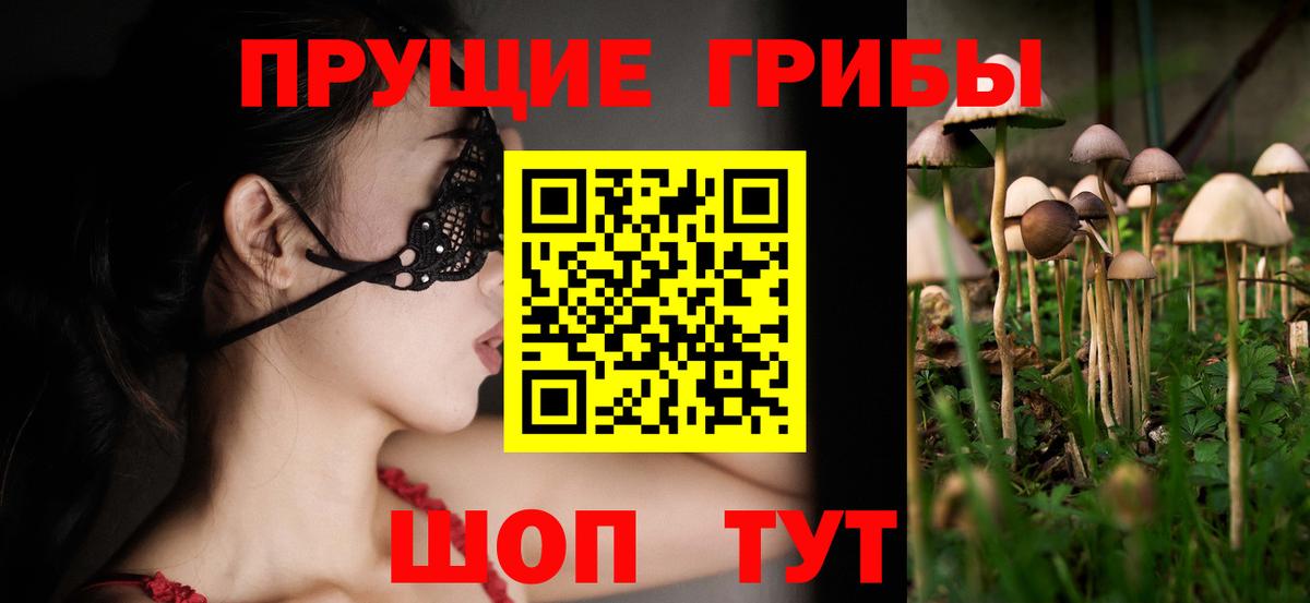 Сарапул  Псилоцибиновые грибы Magic Shrooms  Вход с VPN 