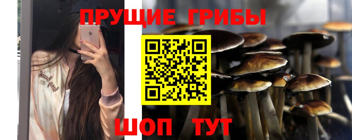 Псилоцибиновые грибы MAGIC MUSHROOMS Сарапул
